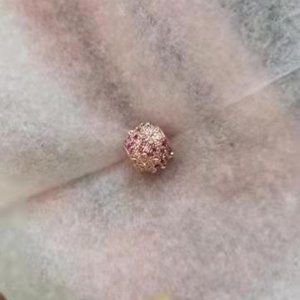 PANDORA Charm